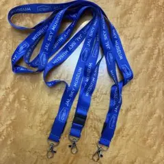 ANA全日空 社員用 ネックストラップ 稀少品 - メルカリ