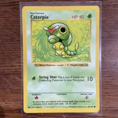 英語版　ポケモンカード　キャタピー