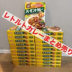 ハウス バーモントカレー レトルト 中辛 21個セットのサムネイル
