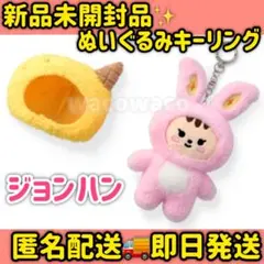 2026年最新】seventeen ジョンハン ぬいぐるみの人気アイテム - メルカリ