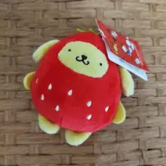 LOWRYS FARM いちご新聞コラボ