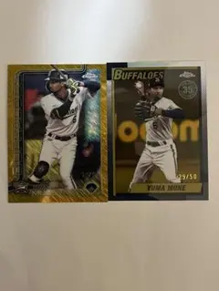 Item thumbnail for item 21f4681d-e78c-408c-8e14-8067949c8780