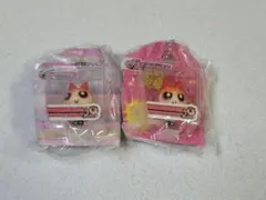 パワーパフ ガールズ ブリスターチャーム コレクション　ブロッサム2種セット