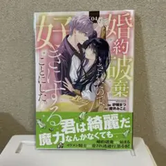 婚約破棄されたので、好きにすることにした4巻