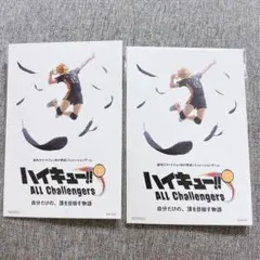 Anime Japan 2026 ハイキュー　配布物2枚 日向翔陽