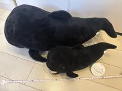 海の中道マリンワールド クジラのゆきちゃん2体セット