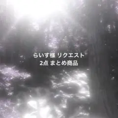 らいす様 リクエスト 2点 まとめ商品