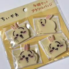 【匿名配送】ちいかわ 4個セットアクリルバッジ うさぎ