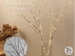 ブランチツリー　ウェルカムツリー　インテリア　間接照明　シラカバ　LEDライト