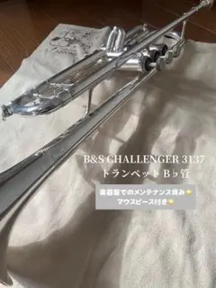 Item thumbnail for item ac6a1ef0-5b3f-452c-82c3-181421bde9a0