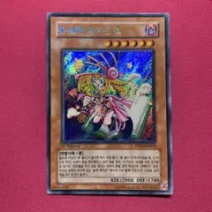 2025年最新】トゥーンブラックマジシャンガール 韓国の人気アイテム