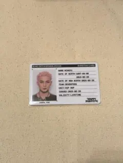 SEVENTEEN HAPPY BURSTDAY ミンギュ ID カード トレカ