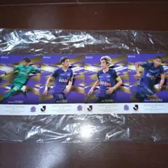 サンフレッチェ広島 2024ホームユニフォーム 松本泰志14番 Mサイズ 2024シーズン2ndユニフォーム 松本泰志選手 サンフレッチェ広島