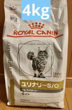 Item thumbnail for item b5f05e7d-3d08-469a-8955-02623a108220