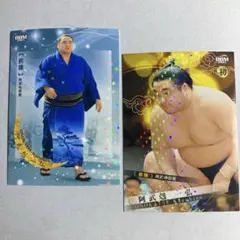 Item thumbnail for item 8ad3c132-2892-43c1-9fb2-1899a854a81b