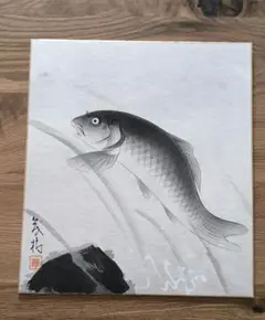 【真作】日本画 菊岡茂持「勇鯉」色紙 川合玉堂門下・鯉の名門系譜