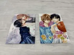 春の嵐とモンスター 野良猫と狼 なまいきざかり ポストカード