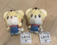 しまころ ぬいぐるみ 2体セット