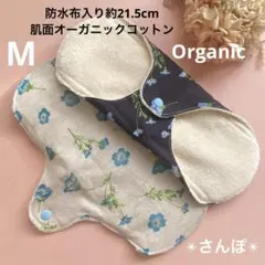 Item thumbnail for item 77abb0ba-2f07-4850-8414-73518ba277a0