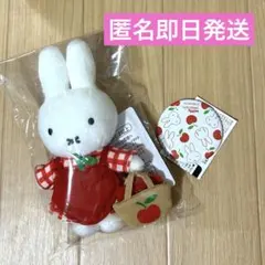 2026年最新】ミッフィーzakkaフェスタ 缶バッジの人気アイテム - メルカリ