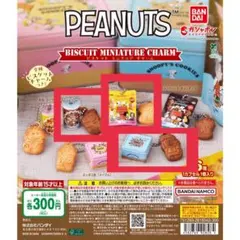 PEANUTS ビスケットミニチュアチャーム 【3点セット】