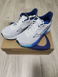 ミズノウェーブライダー28