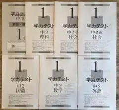 学力テスト1月　中学2年生　定期テスト対策　まとめの学習　(お値下げ中)
