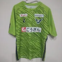 ガイナーレ鳥取 応援グッズ