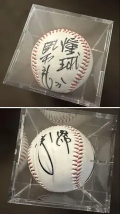毒島誠選手 第8回全国ボートレース甲子園 直筆サイン入り記念舟券