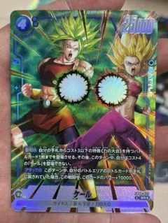 DBFW】ケール【SR★】FB08-032