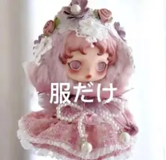 着替え新品⭐︎skullpanda windflowerスカルパンダ ピンク服だけ
