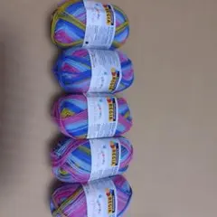 レギア　ソックヤーン　25ｇ５玉