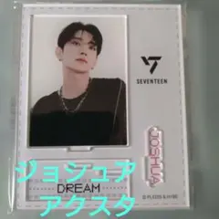 d*3様 SEVENTEEN セブチ DREAM ジュン アクスタ - メルカリ