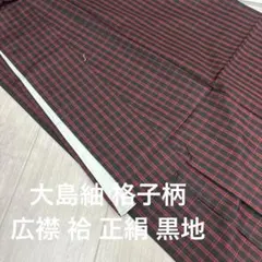 kk108 大島紬 格子柄 広襟 袷 正絹 黒地