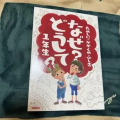 なぜ?どうして? : たのしい!かがくのふしぎ 1年生
