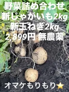 野菜詰め合わせ4kg ⑦新じゃが 新玉ねぎ他 無農薬のサムネイル