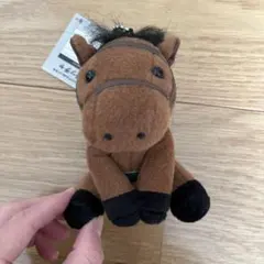 アイドルホース コクラッチャ 小倉競馬場限定 JRA 競馬