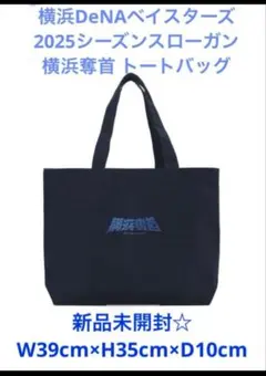 Blue Mates 中綿トートバック 横浜DeNAベイスターズ ファンクラブ 