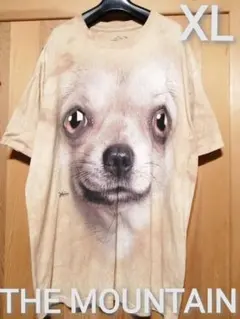 THE MOUNTAIN　XLサイズ　タイダイプリントTシャツ