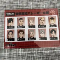 ハイキュー!! ゴミ捨て場の決戦 入場者特典 キャラクターカード