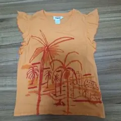 Item thumbnail for item 4f9e3473-ad55-49cc-93aa-772410c5e1c4