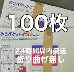 【100枚】折り曲げ無し ゆうパケットポストmini専用封筒 24時間以内発送