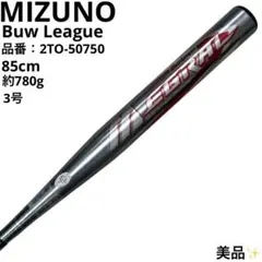 Item thumbnail for item 1fa2332d-c38e-49fa-99dc-f35523ff3be0