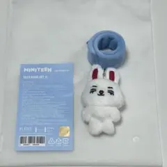 SEVENTEEN NEW ソウルコン MINITEEN デコバンド エクスプス