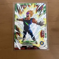 SDVPJ-028　ベジータ