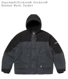 Item thumbnail for item 13a91f60-4f80-4daa-ad83-ef59348ca2be