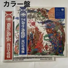 2025年最新】kikagaku moyo レコードの人気アイテム - メルカリ