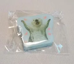 【新品】鳥羽水族館　ラッコ　メイ　メイちゃん　アクリルクリップのサムネイル