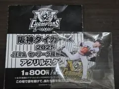 阪神タイガース 2025 JERA セ・リーグ優勝 アクリルスタンド 大竹耕太郎
