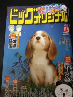 ビッグオリジナル 2025年　11.20号